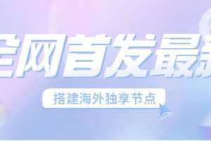 (6912期）全网首发最新海外节点搭建，独享梯子安全稳定运营海外短视频，日入1000+