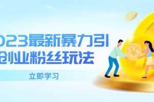 （5845期）2023最新暴力引流创业粉丝玩法，单日被动引流50+创业粉