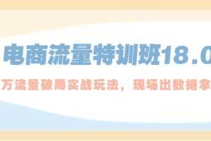 （5232期）电商流量特训班18.0，直引万流量破局实操玩法，现场出数据拿结果