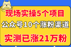 （2947期）现场实操5个公众号项目，10个涨粉渠道，实测已涨21万粉！