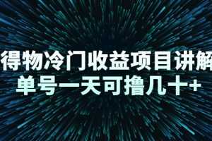 （2264期）得物冷门收益项目讲解，单号一天可撸几十+
