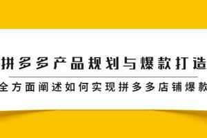 （2181期）拼多多产品规划与爆款打造，全方面阐述如何实现拼多多店铺爆款