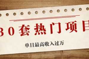 （1941期）30套热门项目：网赚项目、朋友圈、涨粉套路、抖音、快手  单日最高收入过万