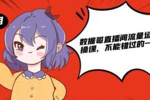 （1866期）数据哥直播间流量运营线上实操课，不能错过的一套系统课