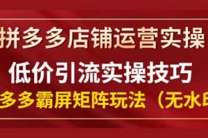 (1342期)拼多多店铺运营实操,低价引流实操技巧,拼多多霸屏矩阵玩法(无水印)