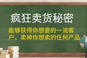 (1313期)疯狂卖货秘密(能够获得你想要的一流客户,卖掉你想卖的任何产品)无水印