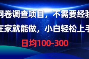 (10402期)问卷调查项目,不需要经验,在家就能做,小白轻松上手,日均100-300