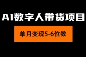 (11751期)2024年Ai数字人带货,小白就可以轻松上手,真正实现月入过万的项目