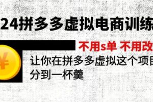 （12024期）2024拼多多虚拟电商训练营 不s单 不改销量  做虚拟项目分一杯羹(更新10节)