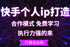 (13023期)快手个人ip打造:执行力强的来 打暴创业粉