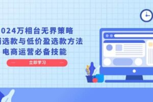 （13633期）2024万相台无界策略，店铺选款与低价盈选款方法，电商运营必备技能