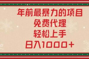 （13773期）年前最暴力的项目，免费代理，轻松上手，日入1000+