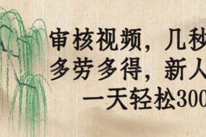 （14202期）审核视频，几秒一单，多劳多得，新人小白一天轻松300+