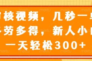 （14294期）审核视频，几秒一单，多劳多得，新人小白一天轻松300+