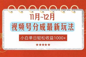 (16639期)11月~12月视频号分成最新玩法,小白单日轻松收益1000+